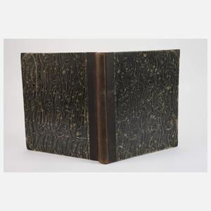 Abbildungen zu Okens Naturgeschichte