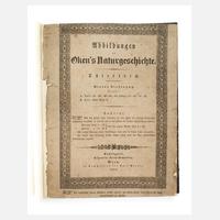 Abbildungen zu Okens Naturgeschichte111