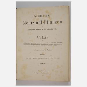 Köhlers Medizinal-Pflanzen