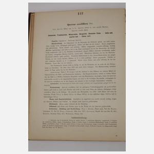 Köhlers Medizinal-Pflanzen