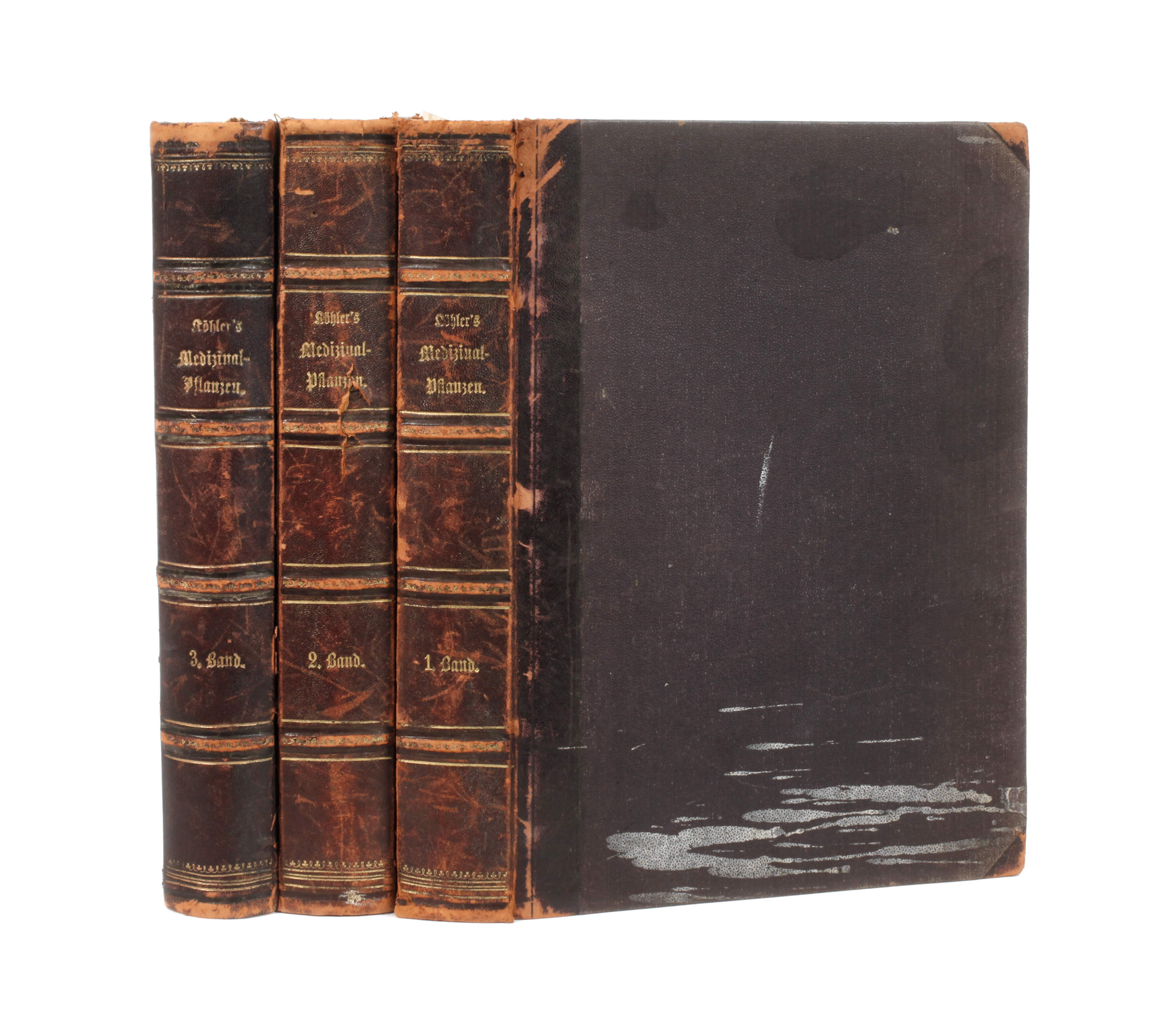 Köhlers Medizinal-Pflanzen