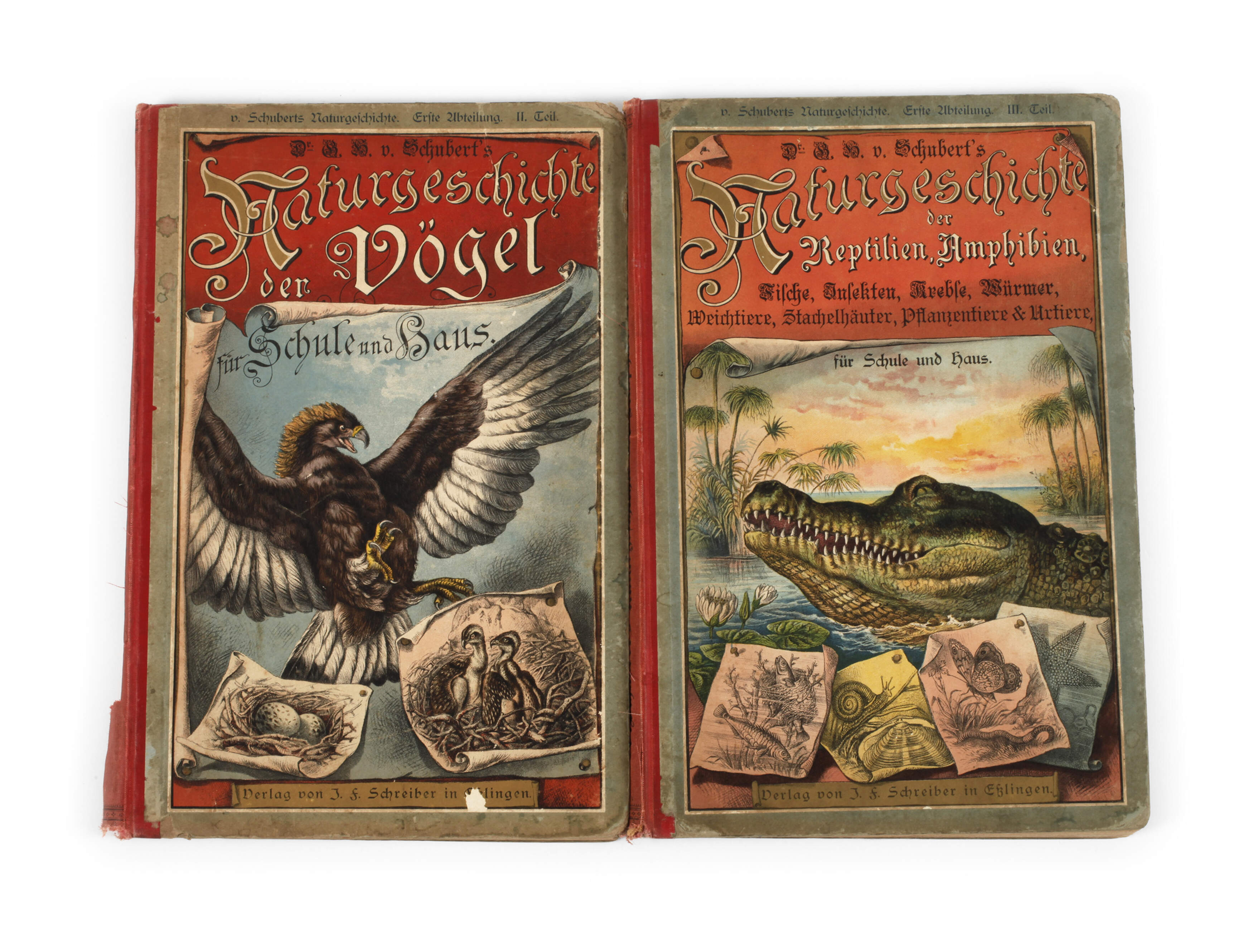 Zwei Bände Schuberts Naturgeschichte