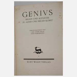 Zwei Bände Genius