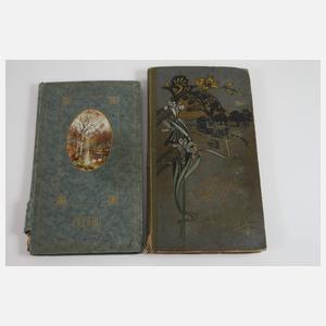 Zwei Ansichtskartenalben Deutschland