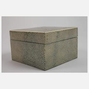 Schatulle Rochenhaut