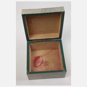 Schatulle Rochenhaut