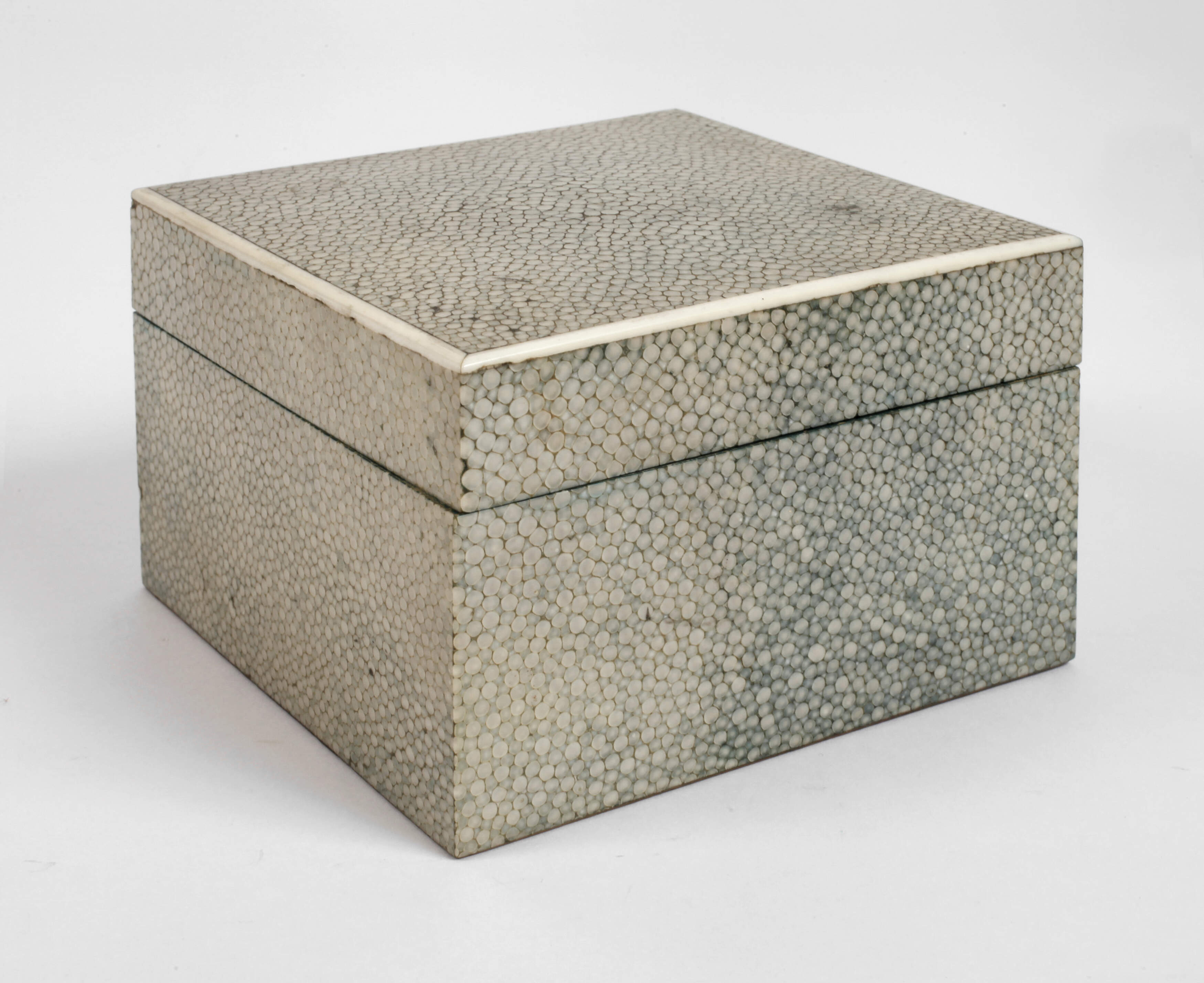 Schatulle Rochenhaut