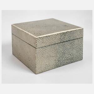 Schatulle Rochenhaut