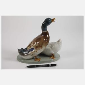 Altenburg Entengruppe