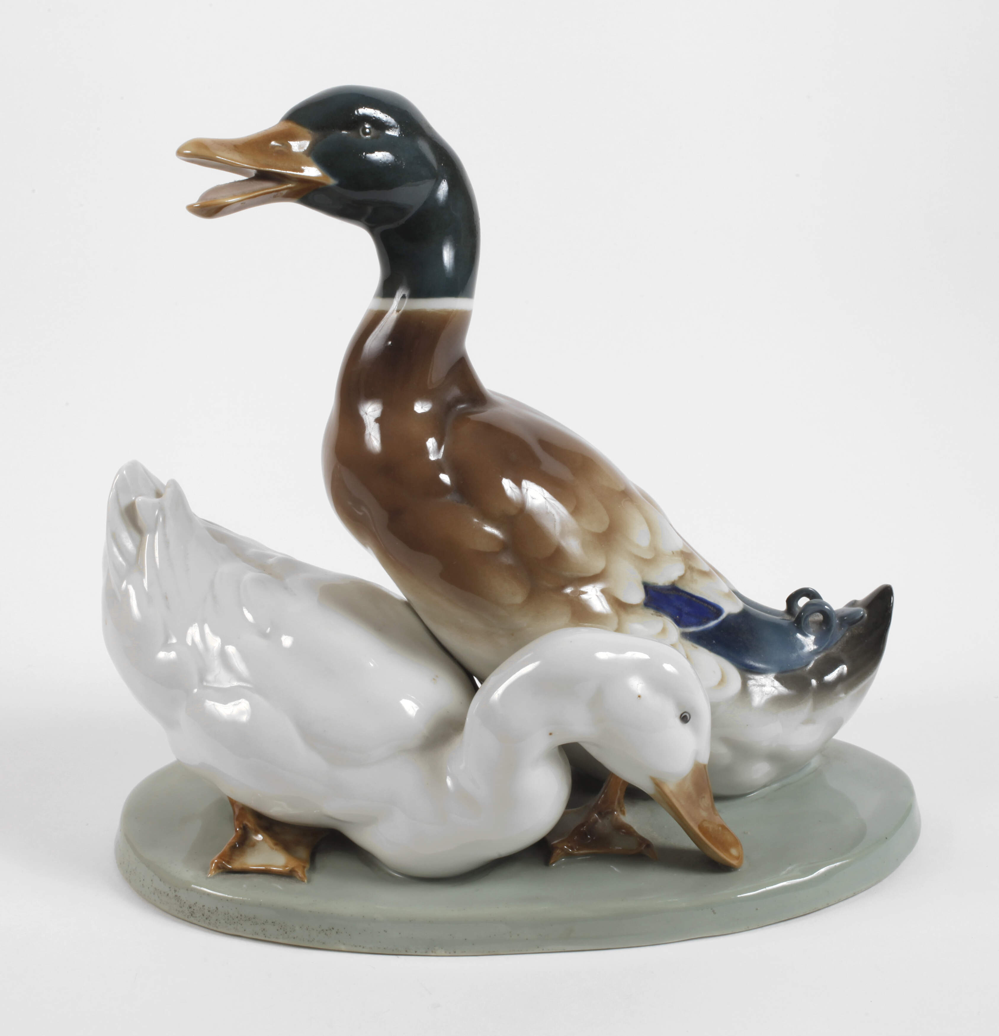 Altenburg Entengruppe