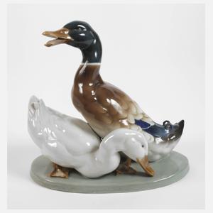 Altenburg Entengruppe