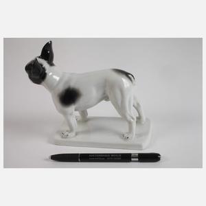 Heubach Lichte ”Französische Bulldogge”