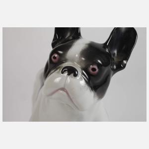 Heubach Lichte ”Französische Bulldogge”