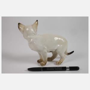 Hutschenreuther "Junge siamesische Katze"