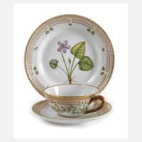 Kopenhagen Teegedeck "Flora Danica"111