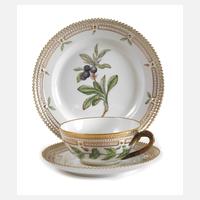 Kopenhagen Teegedeck "Flora Danica"111