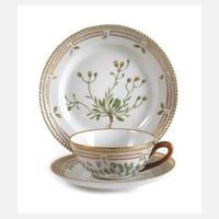 Kopenhagen Teegedeck "Flora Danica"111