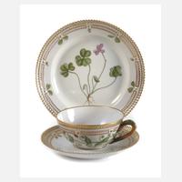 Kopenhagen Teegedeck "Flora Danica"111