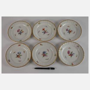 KPM Berlin Speiseservice Blumen und Insekten