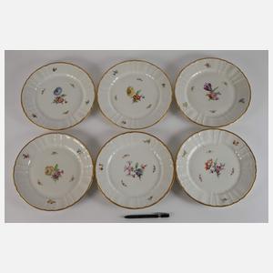 KPM Berlin Speiseservice Blumen und Insekten