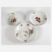 Meissen Konvolut Blumenmalerei111