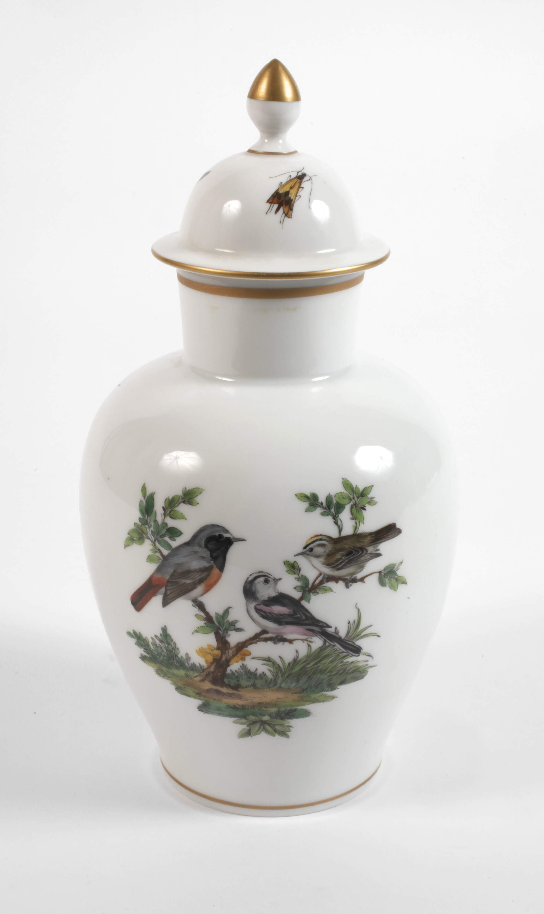 Meissen Urnenvase Vogelmalerei mit Insekten