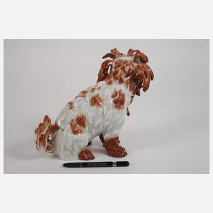 Meissen "Bologneser Hund"