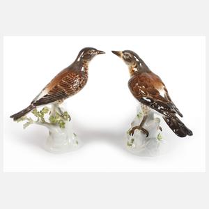 Meissen Paar Drosseln