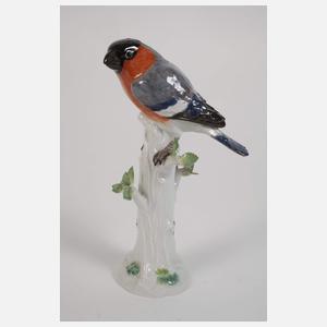 Meissen Konvolut Singvögel mit Vogelkäfig