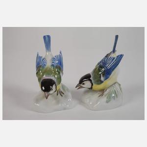 Meissen Konvolut Singvögel mit Vogelkäfig