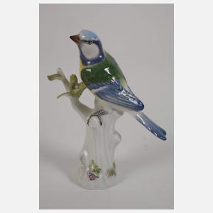 Meissen Konvolut Singvögel mit Vogelkäfig