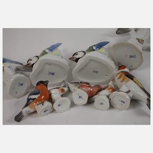 Meissen Konvolut Singvögel mit Vogelkäfig