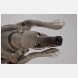 Nymphenburg "Liegende Dogge"