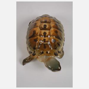 Nymphenburg Schildkröte