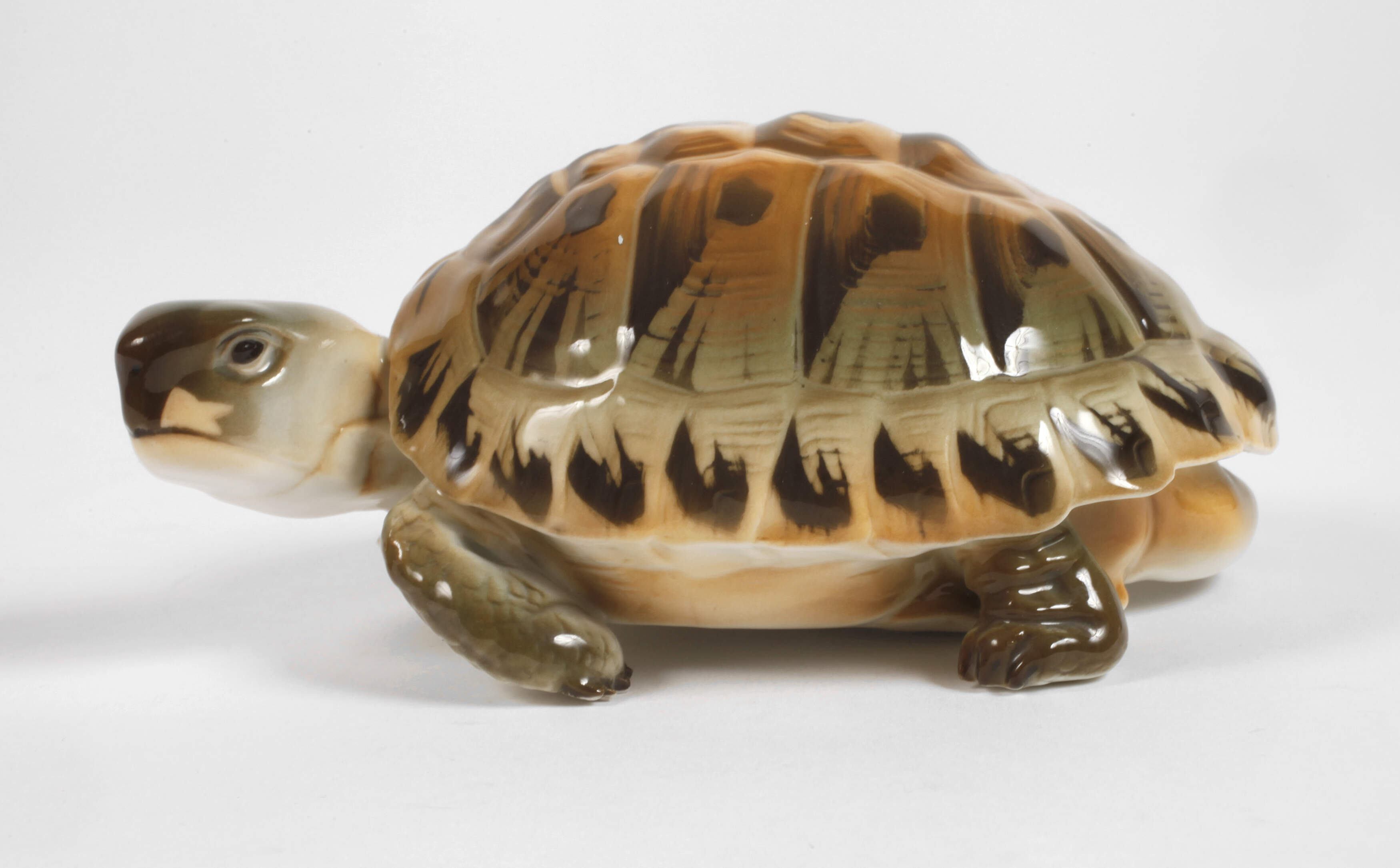 Nymphenburg Schildkröte