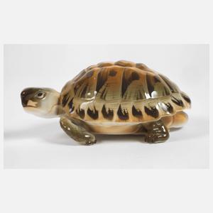 Nymphenburg Schildkröte