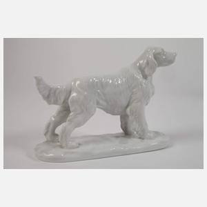 Konvolut Porzellanhunde