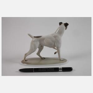 Rosenthal "Foxterrier"