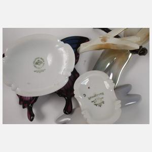 Rosenthal Konvolut Libellen und Schmetterlinge