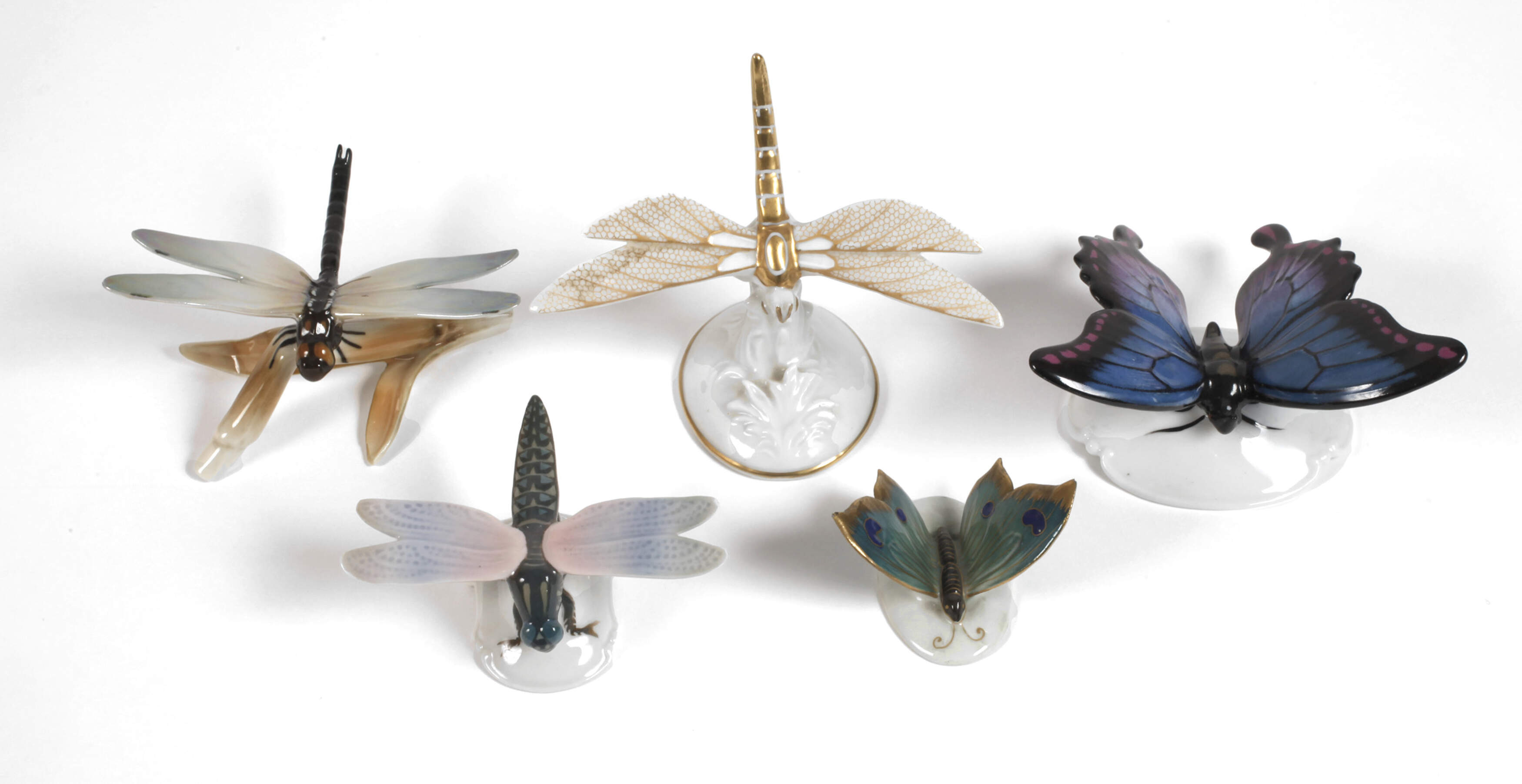 Rosenthal Konvolut Libellen und Schmetterlinge