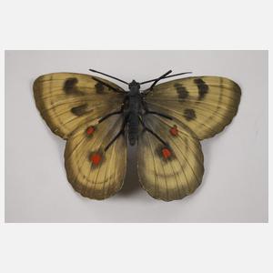 Konvolut Wiener Bronzen