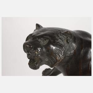 Genryusai Seiya, Bronzetiger Japan