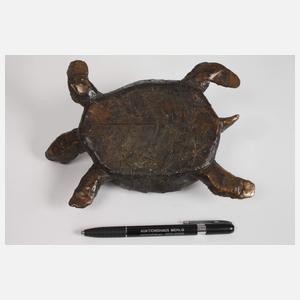 Franz Josef Lipensky, Schildkröte