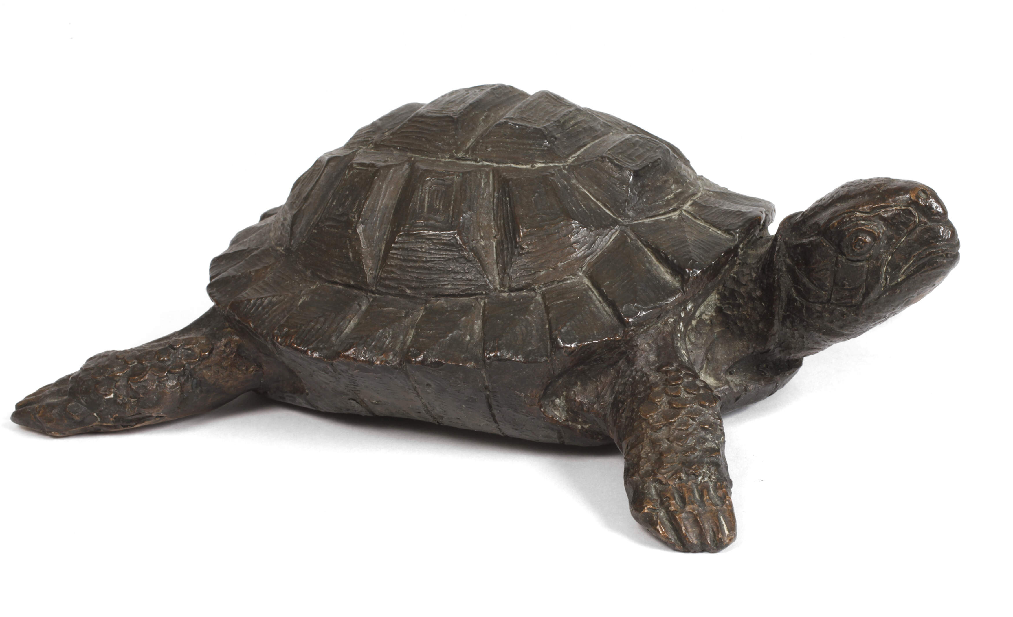 Franz Josef Lipensky, Schildkröte