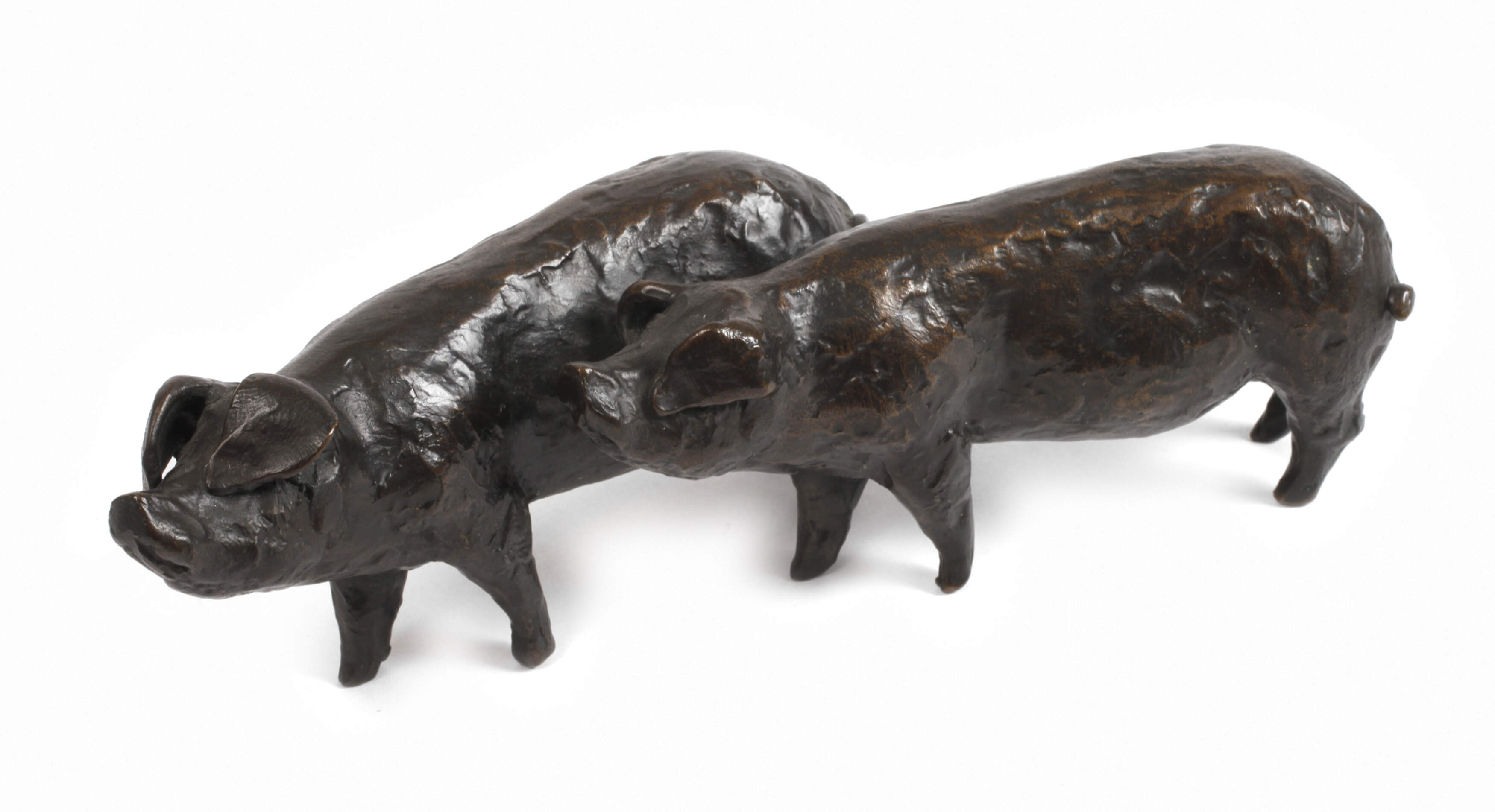 Kurt Arentz, Schweine