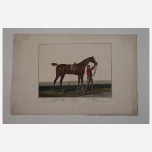 Charles F. G. Levachez, aus "Suite de Chevaux"