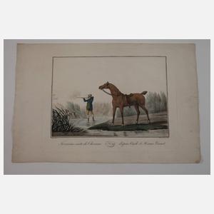 Charles F. G. Levachez, aus "Suite de Chevaux"