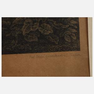 Ansicht von Baden-Baden