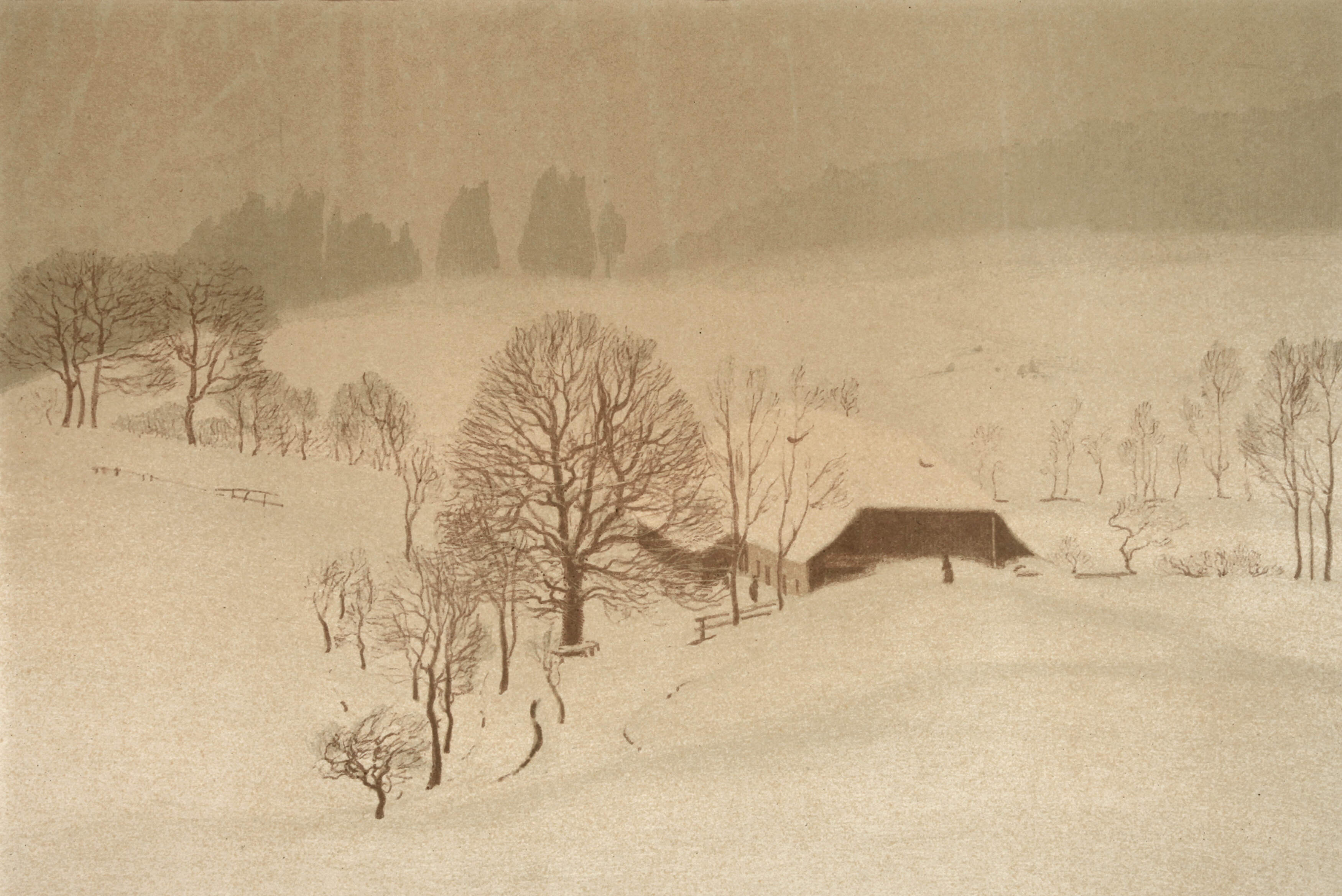 Karl Biese, "Winternebel"