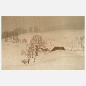 Karl Biese, "Winternebel"